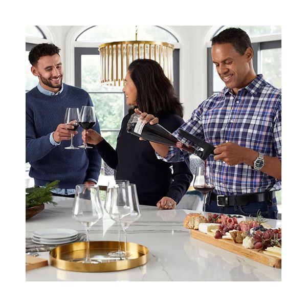 Система сохранения вина  Pivot Plus, Coravin, изображение 3